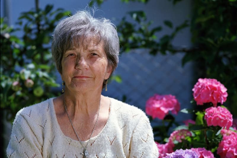 About Image - Our approach