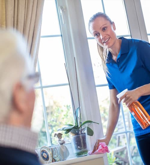 Cleaning Service